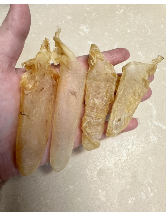 非洲花膠筒, 220-240頭/斤, 300克/盒