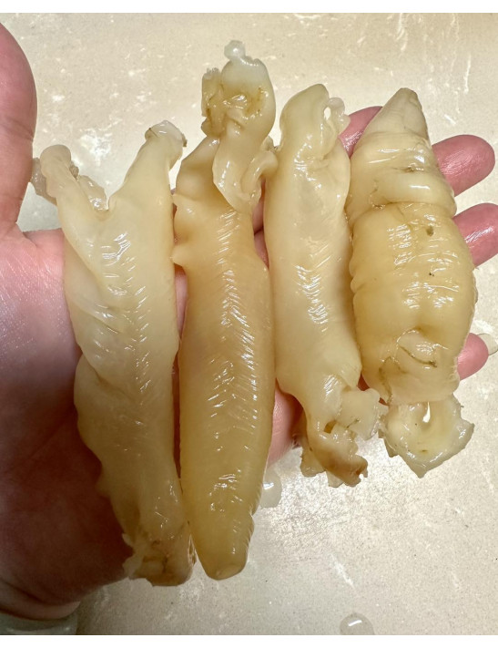 非洲花膠筒, 220-240頭/斤, 300克/盒