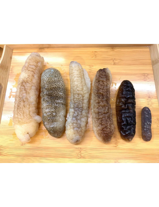 澳洲海蔘禮盒