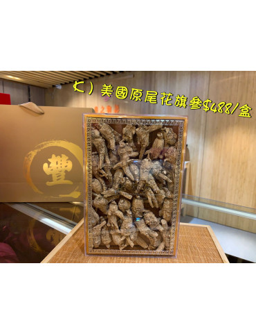 K) 美國原尾泡蔘