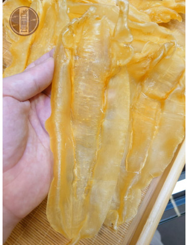 巴西扎膠公12-14頭