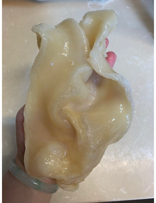 南非鴨巴膠 , 33-35頭/斤, 300克/盒